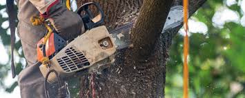 Mulching Services in North Fair Oaks, CA