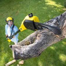Best Aeration Services  in North Fair Oaks, CA